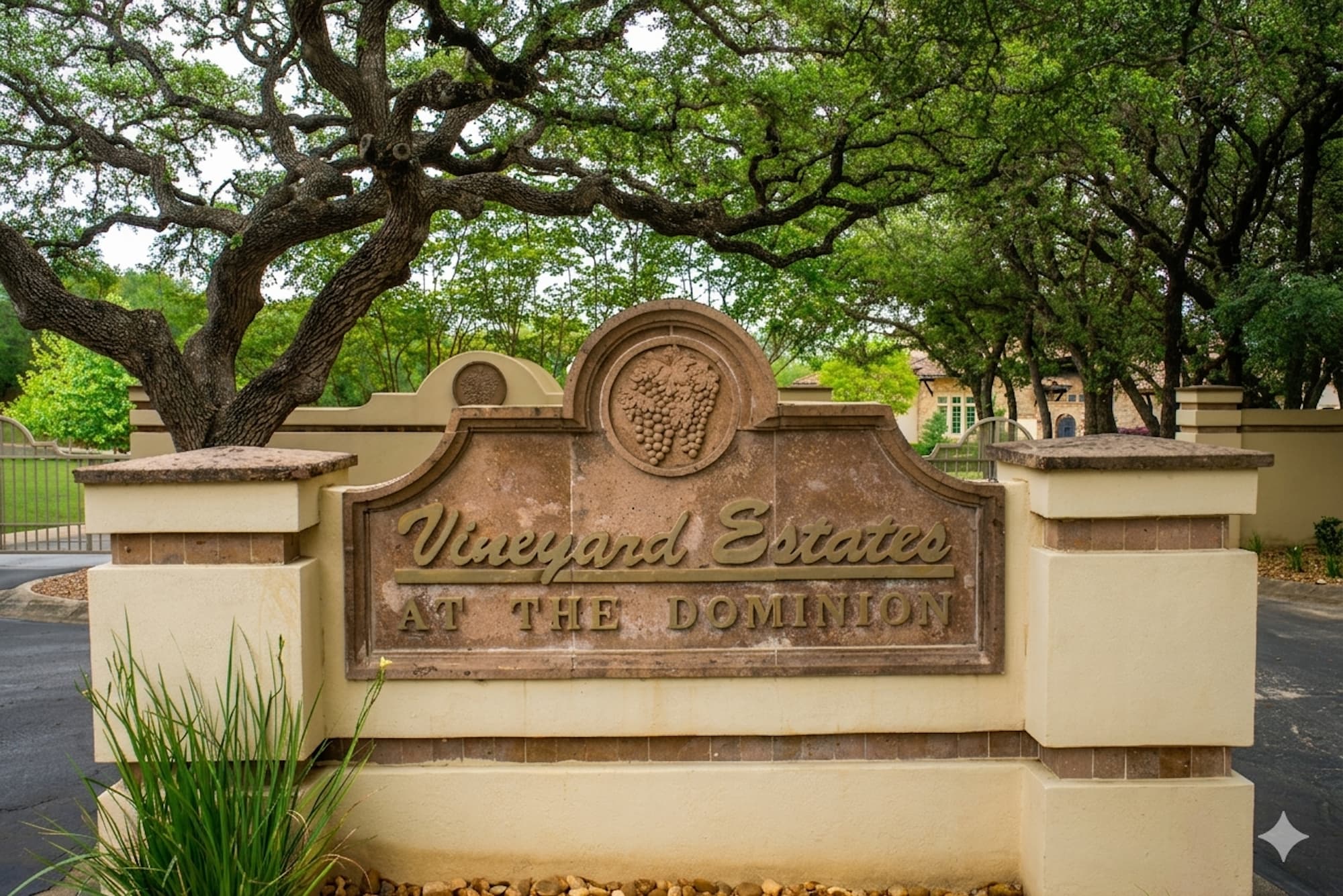 Vineyard Estates at the Dominion